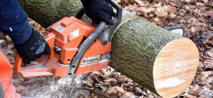 Image of chainsaw cutting wood for Quotacy blog Five Reasons You Could Be Turned Down for Life Insurance.