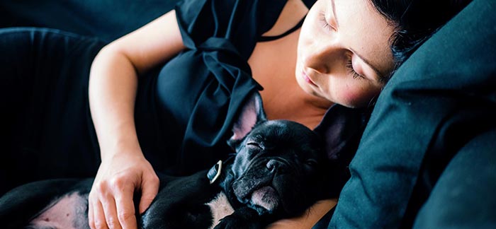 Image of woman and french bulldog puppy taking a nap for Quotacy blog Why So Sleepy? The Science Behind the Thanksgiving Nap.