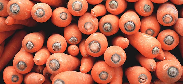 Image of the tops of stacked carrots pulled from garden for Quotacy blog Helping Your Child Develop Healthy Eating Habits.