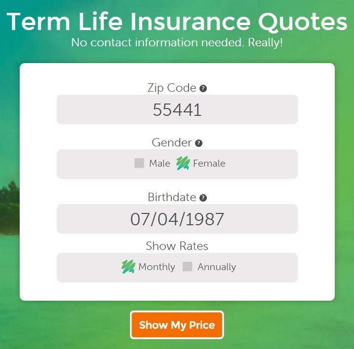 term life insurance quote no contact information