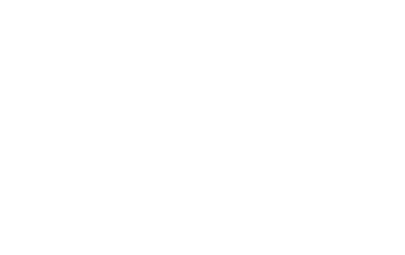 Lincoln Financial