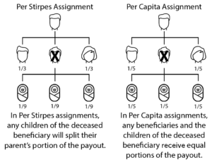 Infographic: Per Stirpes vs. Per Capita Assignment for Quotacy blog: Naming Multiple Life Insurance Policy Beneficiaries.