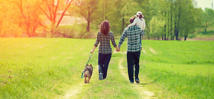 Family and dog walking outside on a sunny day for Quotacy blog Types of Life Insurance.