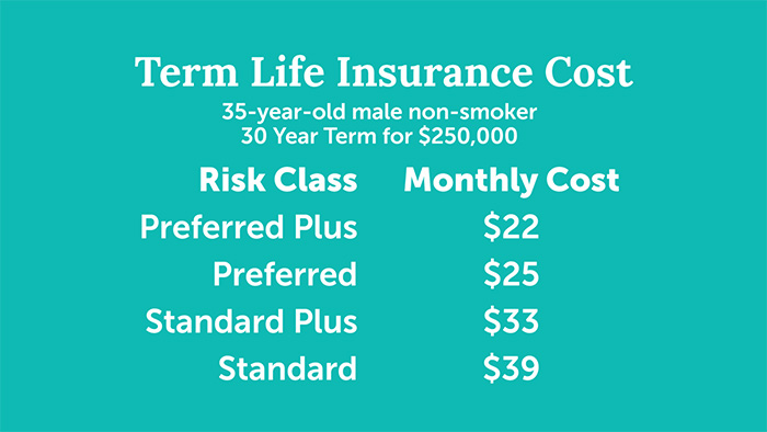 term life insurance costs
