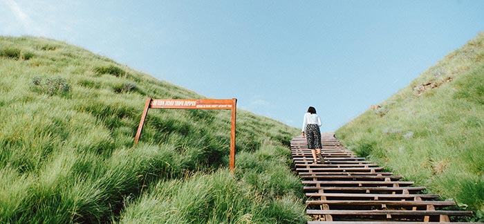 woman walking up steps for Quotacy blog Step by Step Guide to Our Term Life Insurance Quotes Tool