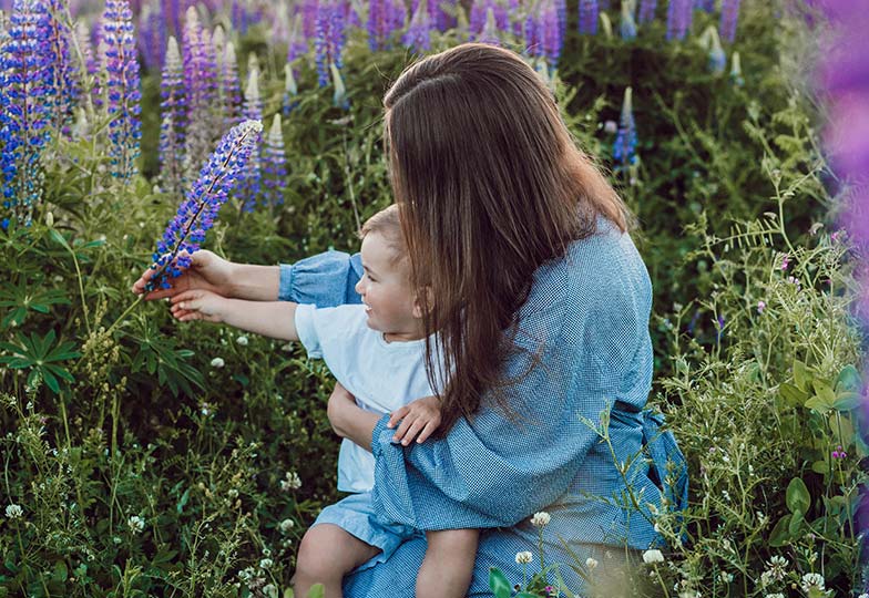 Quotacy term life insurance