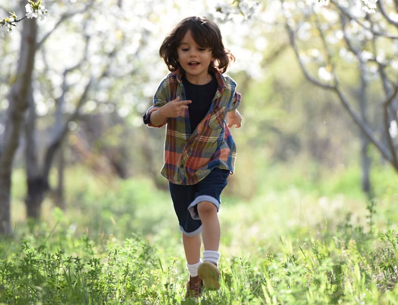 Quotacy life insurance for the family