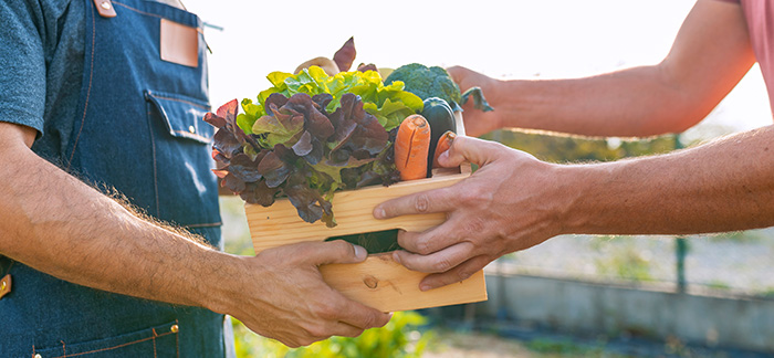 person buying fresh produce for Quotacy newsletter August 2019