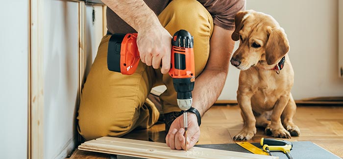 man working on project next to dog for Quotacy blog DIY life insurance