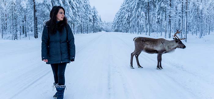 woman in snow next to elk for Quotacy blog learning from scandinavian lifestyle