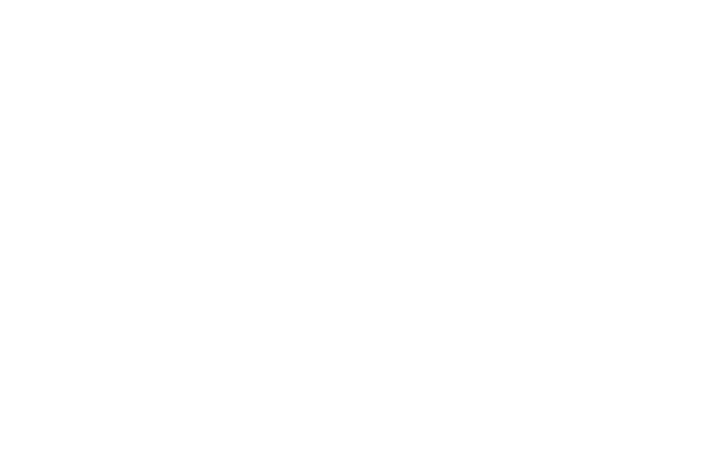 Bestow Life Insurance Logo Bestow Life Insurance Logo