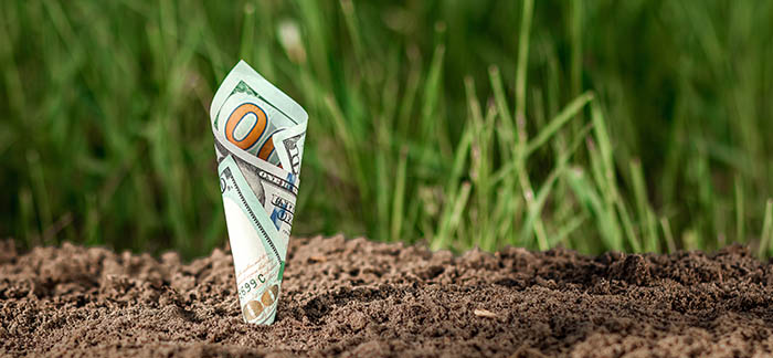 dollar bill growing from the ground for Quotacy blog What is passive income and how to build it