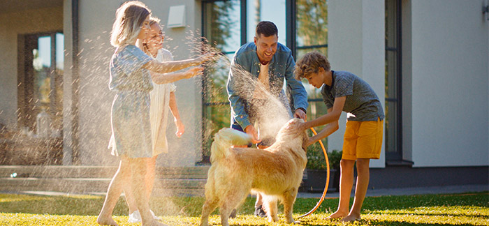 family washing their dog