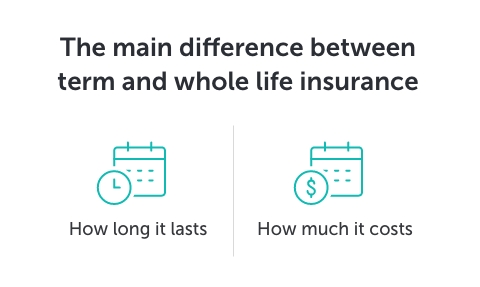Graphic titled 'The main difference between term and whole life insurance' beneath there are two icons, one representing 'policy length' the other representing 'policy cost'
