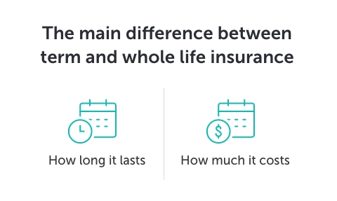 Graphic titled 'The main difference between term and whole life insurance' beneath there are two icons, one representing 'policy length' the other representing 'policy cost'
