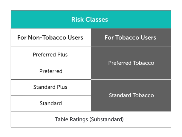 A table that breaks down life insurance risk classes