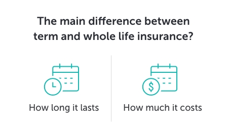 Graphic titled 'The main difference between term and whole life insurance' beneath there are two icons, one representing 'policy length' the other representing 'policy cost'