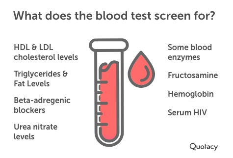 graphic titled 'what does the blood test screen for' on a white background with a blood testing icon in between two lists of what they test for in the blood test