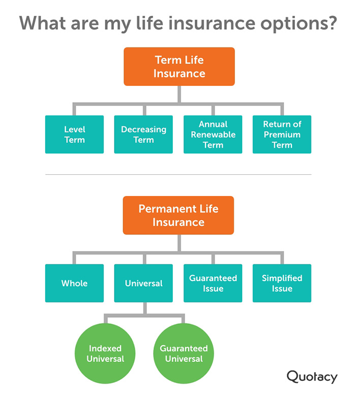 A tree diagram that breaks down your life insurance options by category