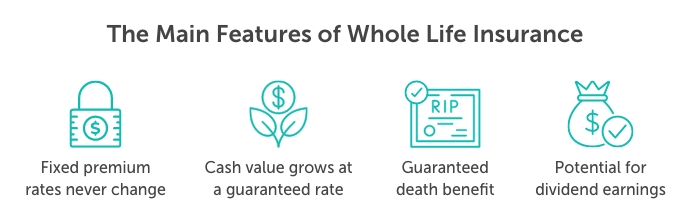 Graphic titled, "the main features of whole life insurance". Beneath are four icons that represent each feature with a description below. From left to right they read: "fixed premium rates never change, cash value grows at a guaranteed rate, guaranteed death benefit, and potential for dividend earnings"
