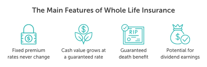 Desktop-the-main-features-of-whole-life-insurance Graphic titled, "the main features of whole life insurance". Beneath are four icons that represent each feature with a description below. From left to right they read: "fixed premium rates never change, cash value grows at a guaranteed rate, guaranteed death benefit, and potential for dividend earnings"