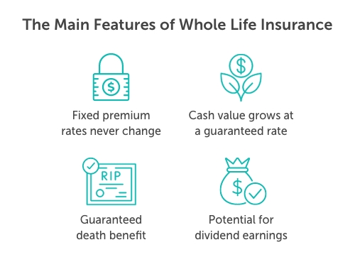 Graphic titled, "the main features of whole life insurance". Beneath are four icons organized 2x2 that represent each feature with a description below. Clockwise they read: "cash value grows at a guaranteed rate, potential for dividend earnings, guaranteed death benefit, and fixed premium rates never change"
