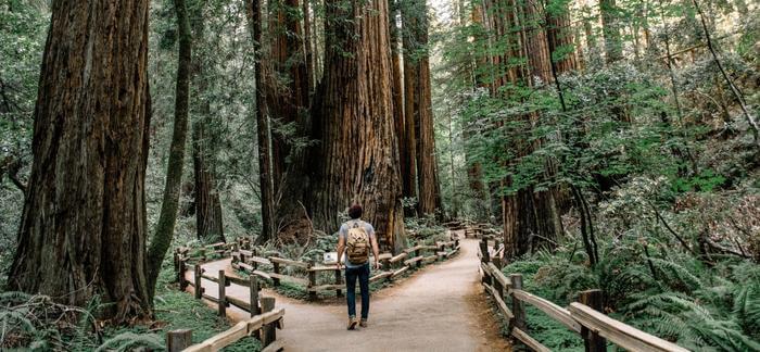 Blog hero image of a man standing on a hiking trail from behind as he contemplates whether he should go right or left.