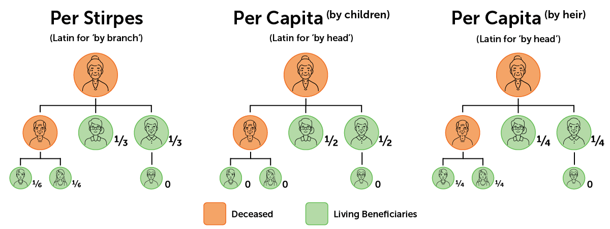 per-stirpes-vs-per-capita (1) Graphic showing the differences between Per Stirpes, Per Capita by children, and Per Capita by heir for living beneficiaries receiving a death benefit